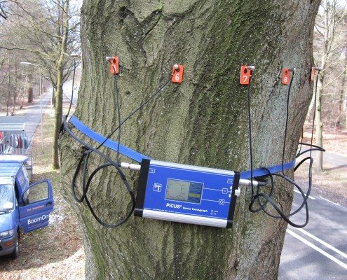 boomveiligheidsinspectie_2