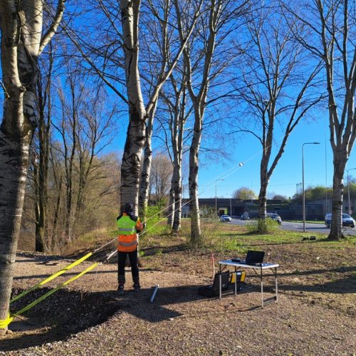 Trekproef om de stabiliteit van bomen te meten na beschadiging van de wortels.