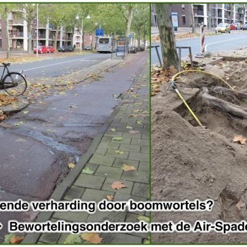 Air Spade Wortelonderzoek Compr