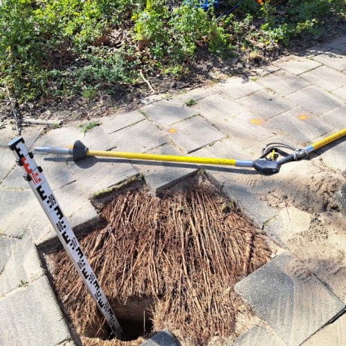 Air-spade BoomOntzorging 1