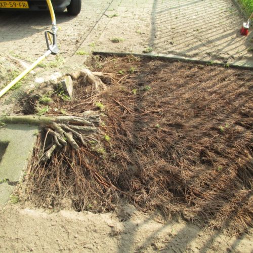 AirSpade Den Bosch 2014_1
