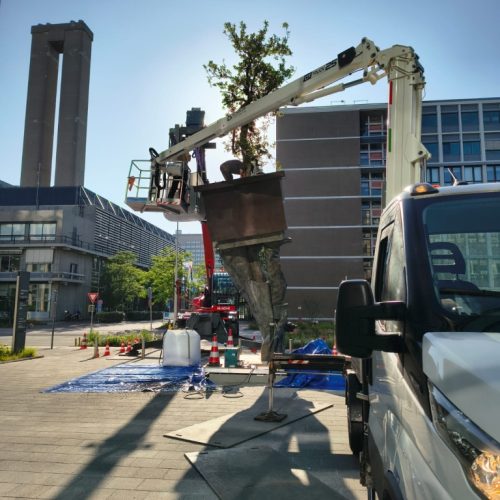 Autohoogwerker BoomOntzorging 3