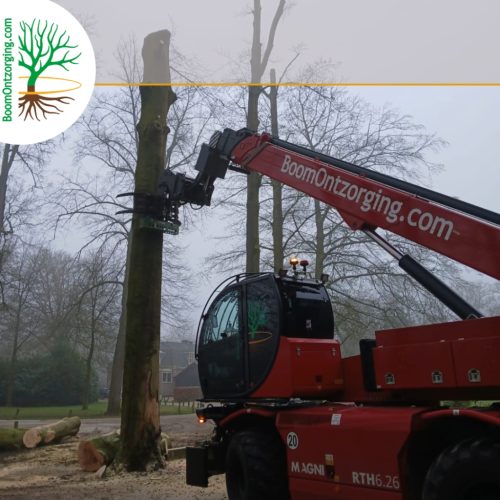 Bomen verdwijderen door BoomOntzorging 1