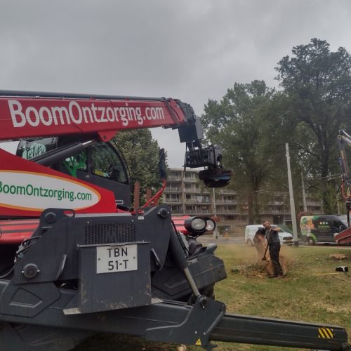 Bomen verdwijderen door BoomOntzorging 12