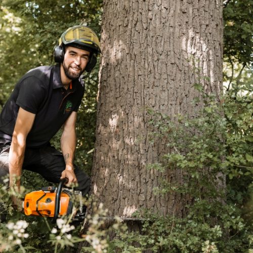 Bomen verdwijderen door BoomOntzorging 3