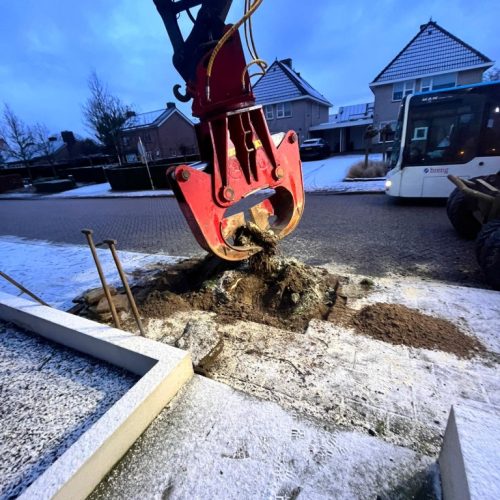 Bomen verdwijderen door BoomOntzorging 5