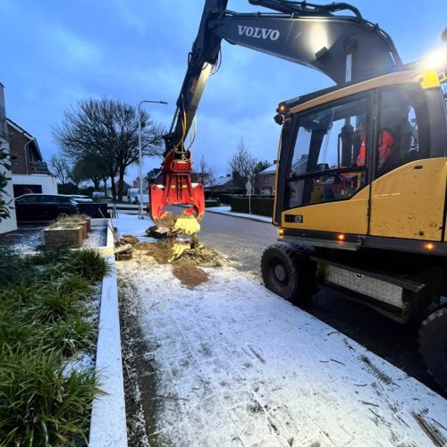 Bomen verdwijderen door BoomOntzorging 6