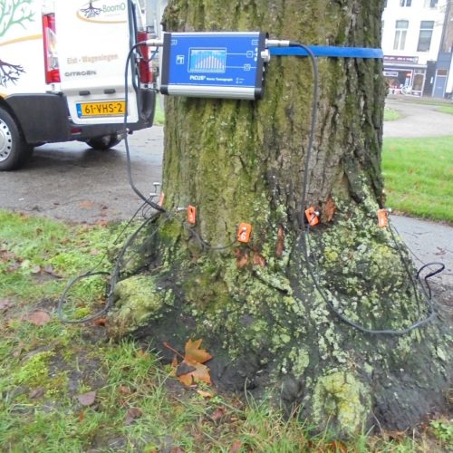 Doormeten van de stamvoet met de PICUS3-geluidstomograaf