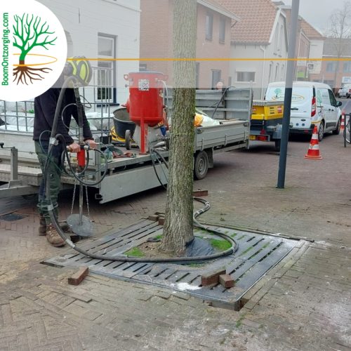 Groeiplaatsverbetering door BoomOntzorging 1