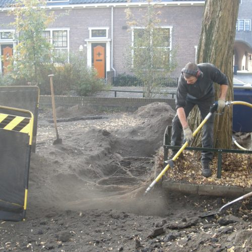 Groeiplaatsverbetering door BoomOntzorging 2