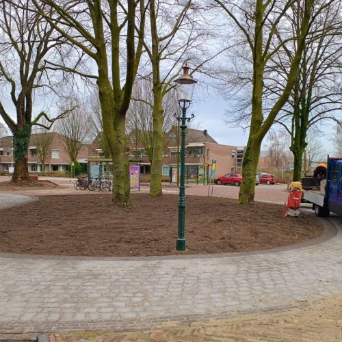 Groeiplaatsverbetering door BoomOntzorging 5