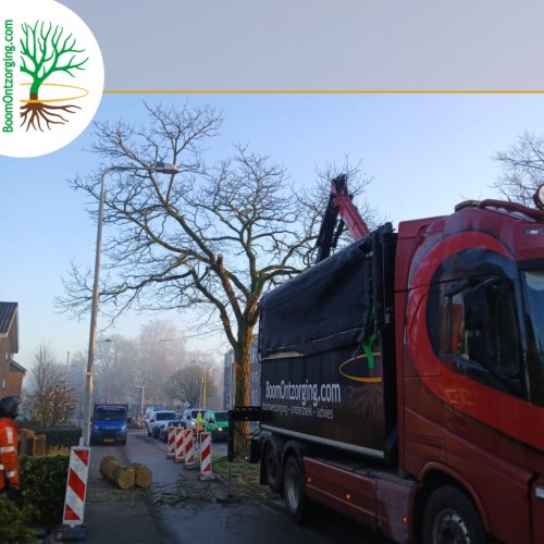 Knijpervrachtwagen BoomOntzorging 5