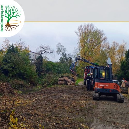 Rupskraan 5 ton BoomOntzorging 3