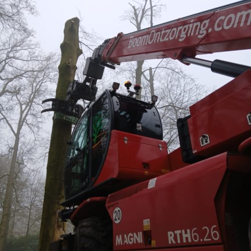 Verreiker met velkop BoomOntzorging 3