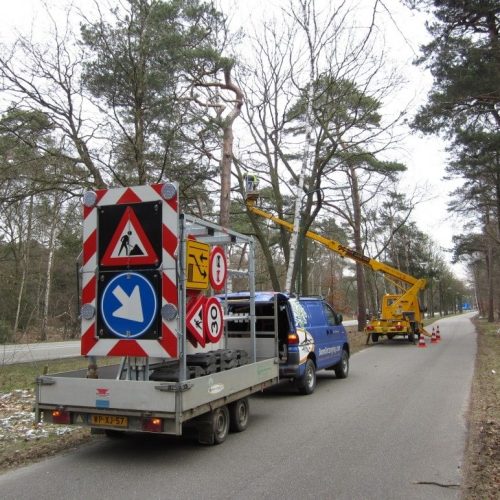 Snoeien door Boomontzorging.com